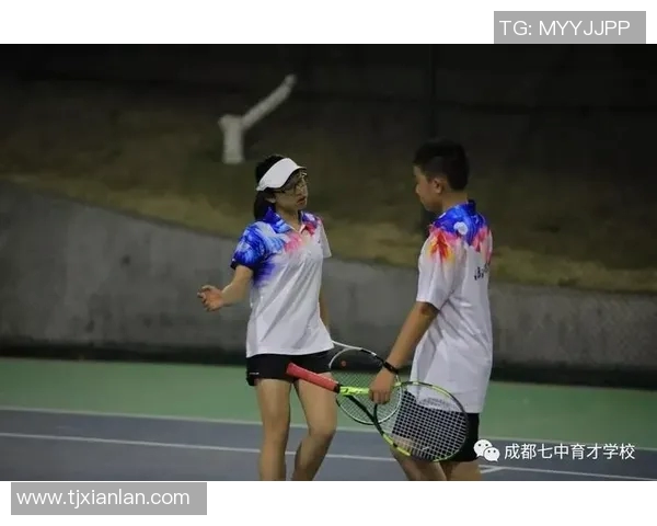 成都网球队阵地战体系深度解析与战术应用探讨