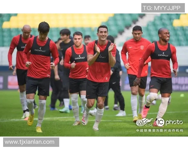 成都排球队的战术解析与控制能力深度探讨