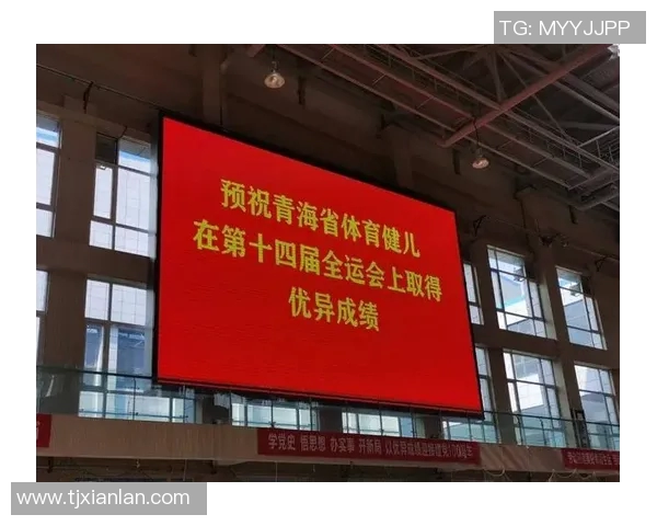 南京排球队的节奏革新探索与实践：重塑竞技风格与团队协作新模式